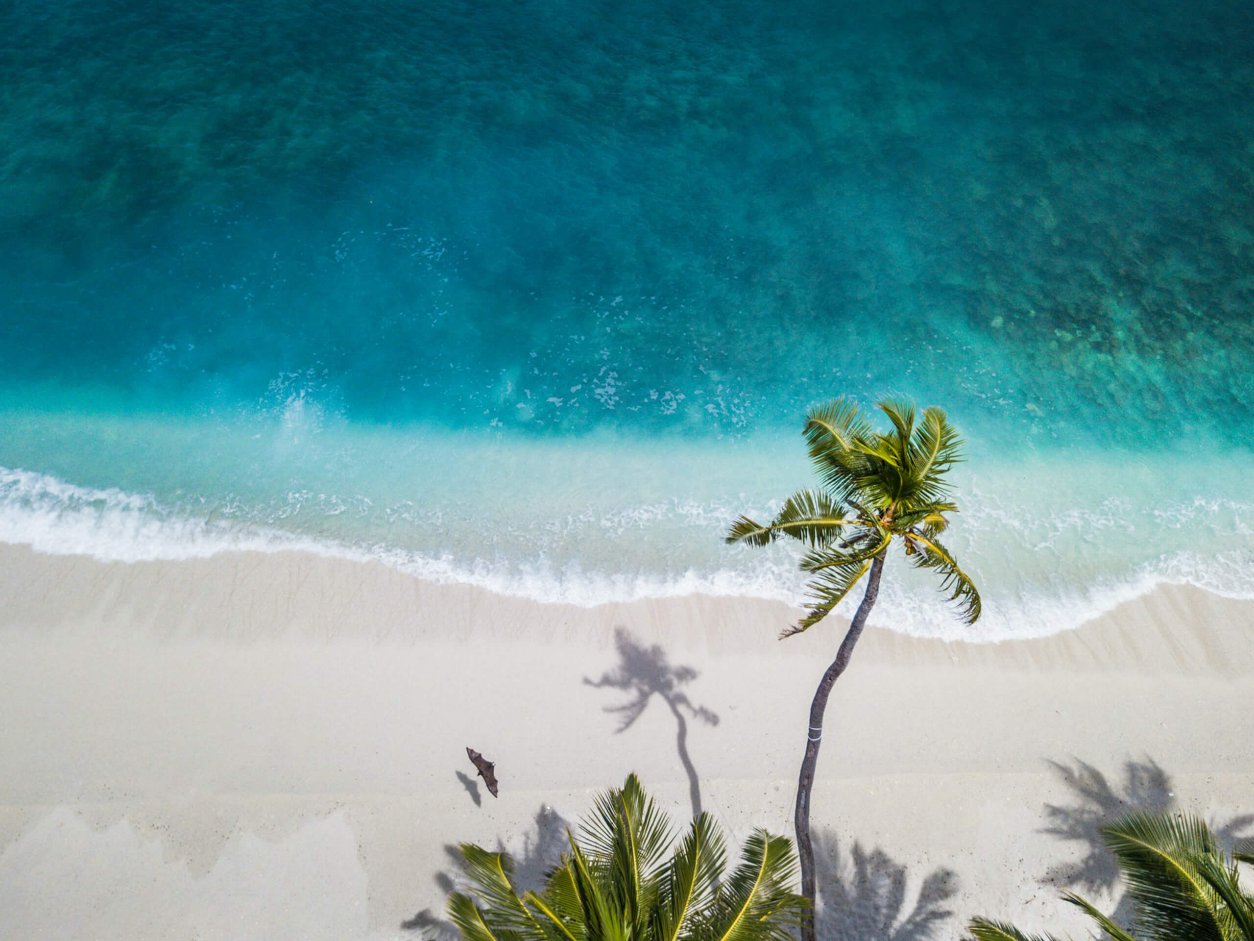 AI Visibility Report for Maldives Resorts: Which Brands are Winning?